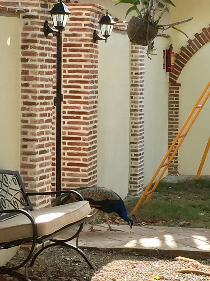 Hotel Yamili Πούντα Κάνα Εξωτερικό φωτογραφία